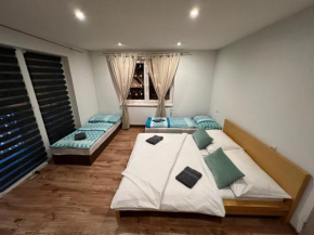 Family Apartments Myto pod Dumbierom